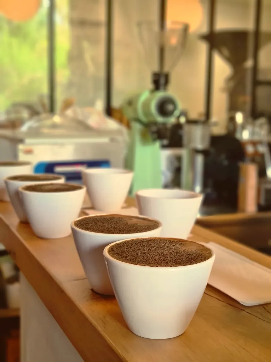 Tasses de dégustation de café