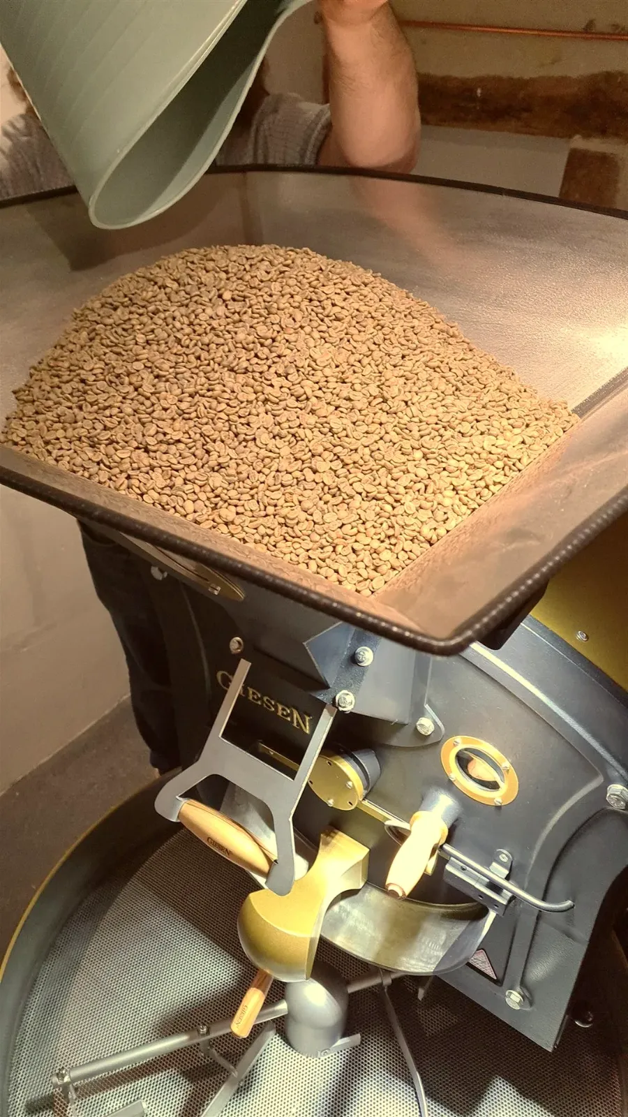 Grains de café torréfiés dans le bac de refroidissement