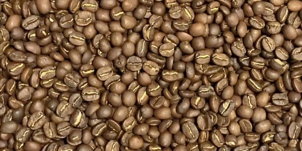 Capsules ou machine à grains au bureau : que choisir ?